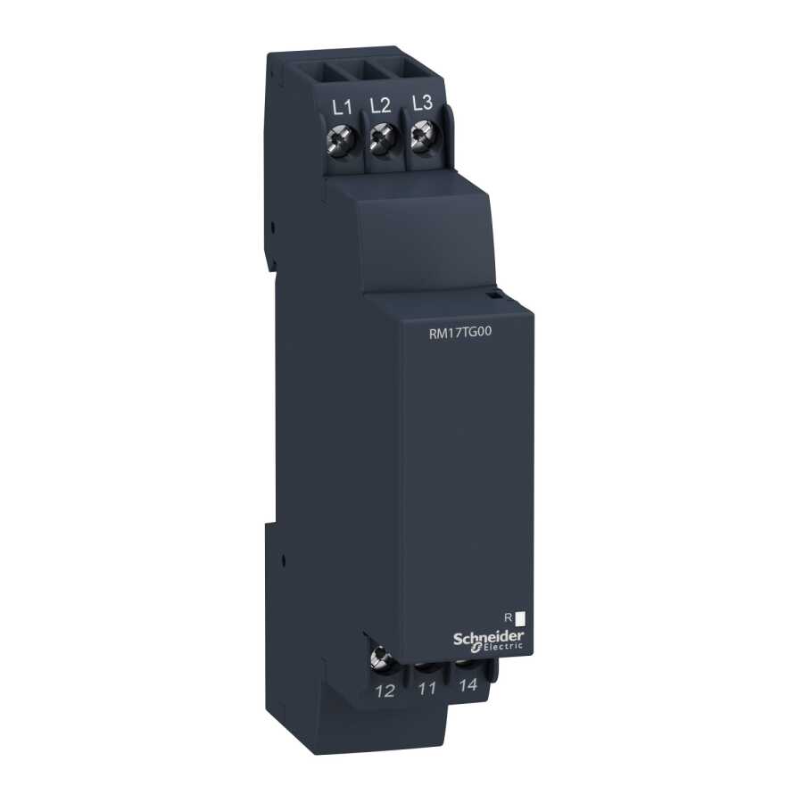[RM17TG00] SCHNEIDER RM17TG00 RM17TG00 FAZ KAYBI KONTROL RÖLESİ