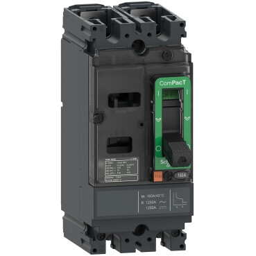 SCHNEIDER C16F2TM160 160A 18kA 2 KUTUP DC TER.MAN.KOR.ŞALTER